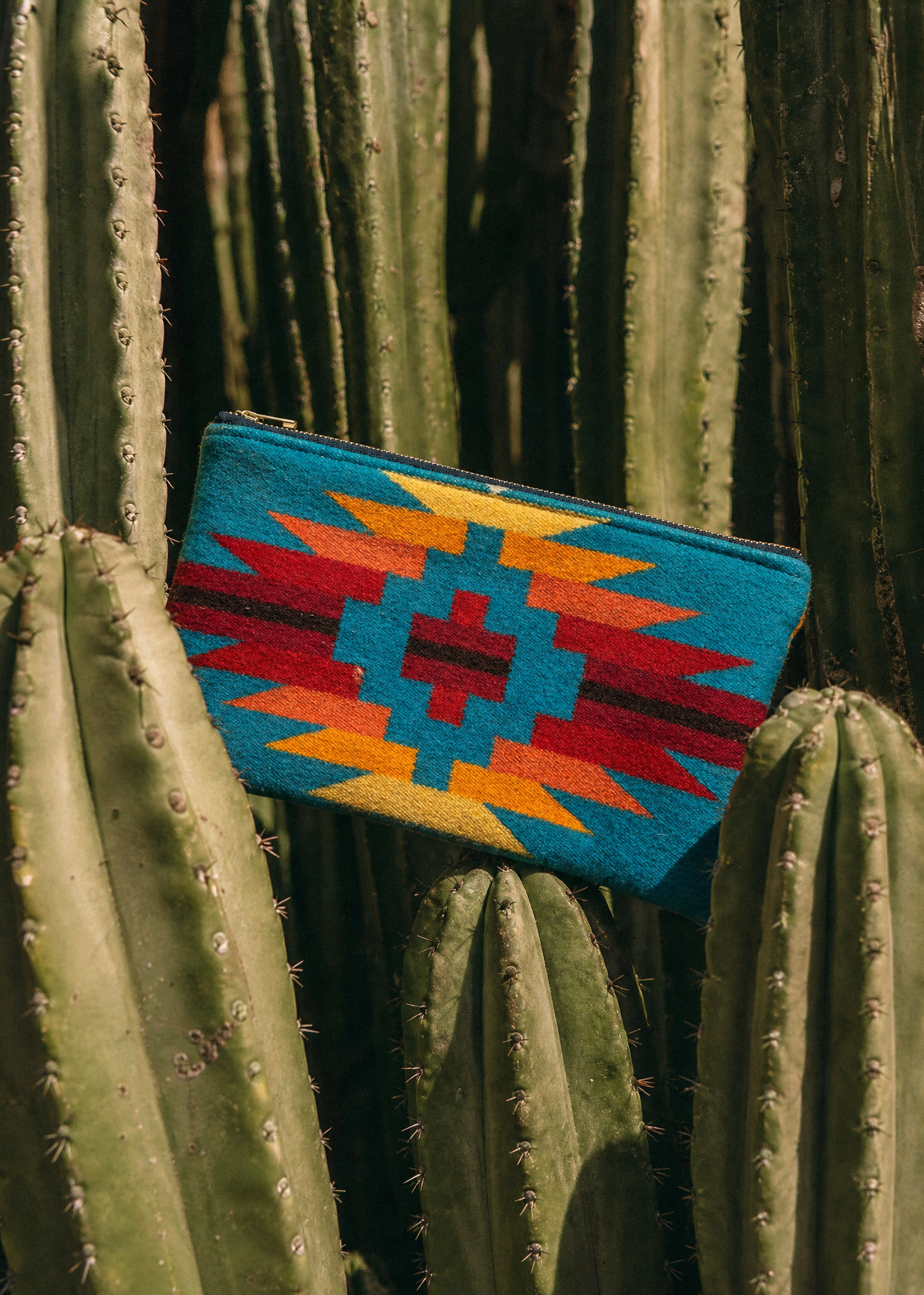 Dallas Pouch - Winter Sun